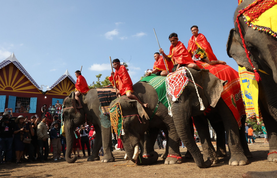 Voi cúi đầu chào khán giả. (Ảnh: Tuấn Anh/TTXVN)