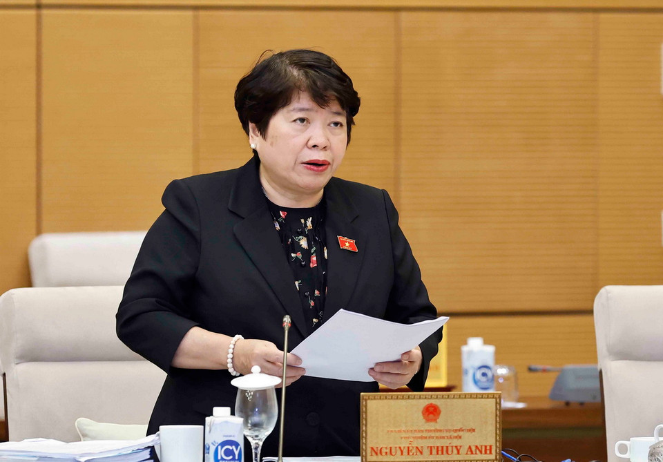 Chủ nhiệm Ủy ban Xã hội của Quốc hội Nguyễn Thúy Anh trình bày tóm tắt báo cáo thẩm tra. (Ảnh: Doãn Tấn/ TTXVN)