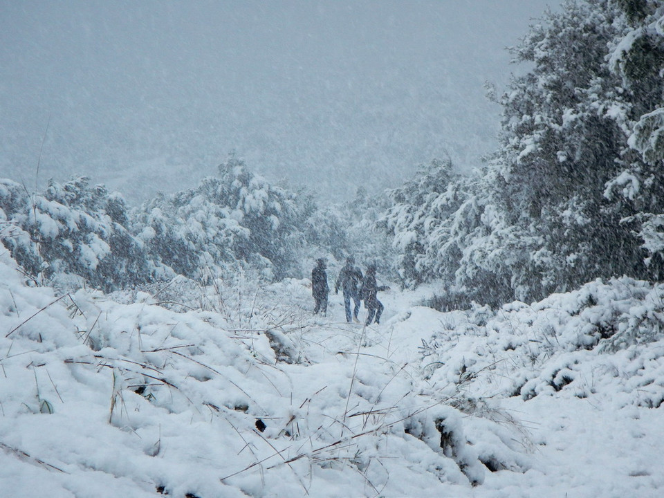 Tuyết phủ trắng xóa ở Argos, Peloponnese, Hy Lạp khiến nhiệt độ giảm sâu ngày 7/1. (Nguồn: EPA/TTXVN)