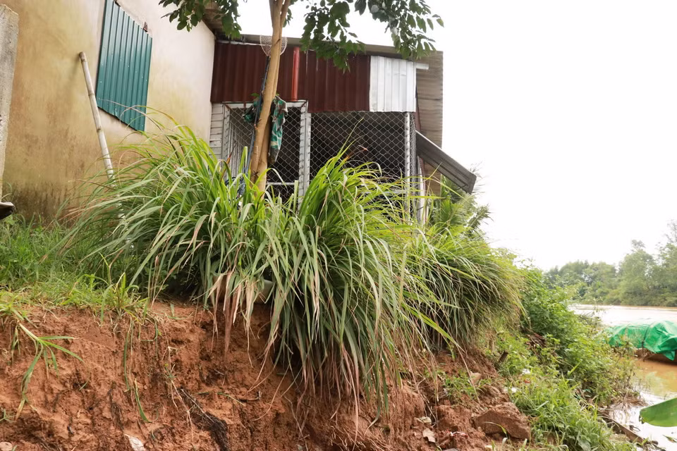 Sạt lở bờ sông Vĩnh Định đoạn qua xã Triệu Hòa, huyện Triệu Phong (Quảng Trị) đã tiến sát nhà ở gây nguy cơ cao đổ sập. (Ảnh: Nguyên Lý/TTXVN)