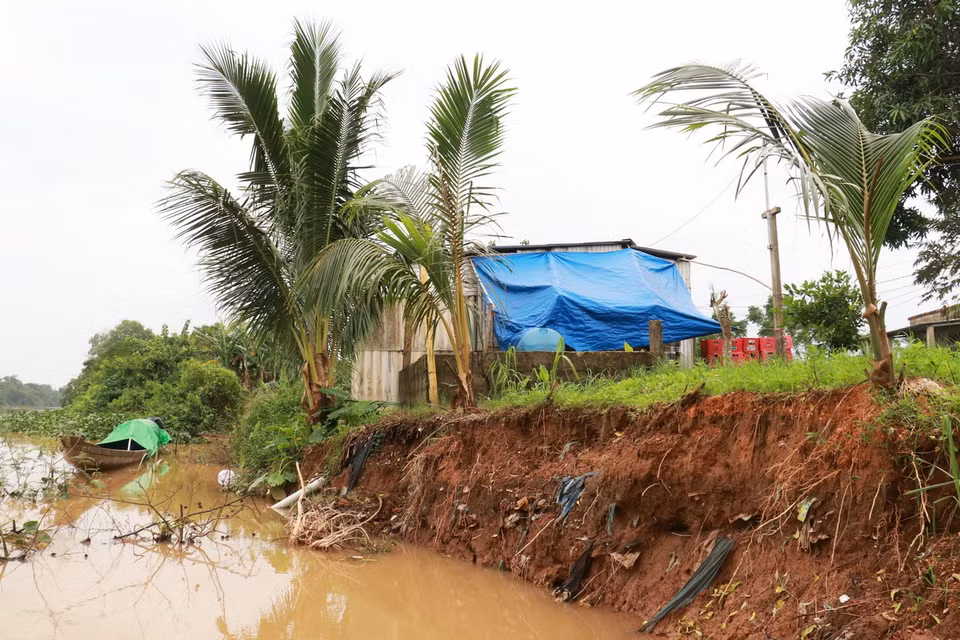 Sạt lở bờ sông Vĩnh Định đoạn qua xã Triệu Hòa, huyện Triệu Phong (Quảng Trị) ăn sâu vào trong gây mất đất sản xuất. (Ảnh: Nguyên Lý/TTXVN)