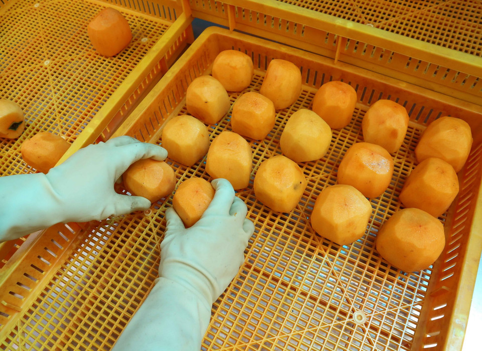 Bà Trịnh Thị Liên (62 tuổi), chủ cơ sở sản xuất Ha Na (đường Khe Sanh, Phường 10, Đà Lạt) là người đưa công nghệ sấy hồng dẻo của Hàn Quốc về Đà Lạt. (Ảnh: Nguyễn Dũng/TTXVN)