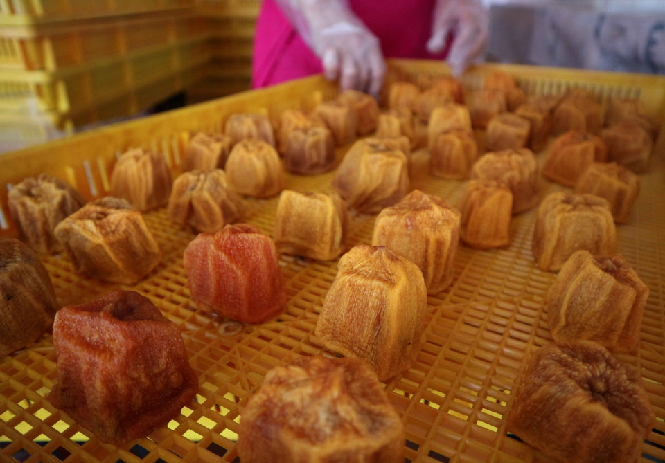 Sau khoảng 5 ngày (đối với hồng nguyên trái) sẽ cho ra thành phẩm, đối với hồng trái lớn hơn mất 7 ngày, còn hồng chẻ miếng mất thời gian 3 ngày sấy. (Ảnh: Nguyễn Dũng/TTXVN)