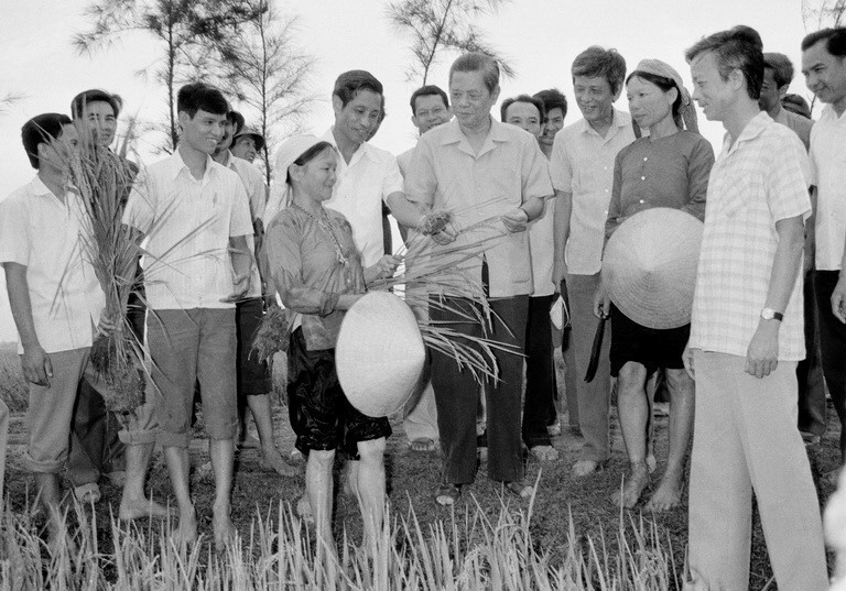 Tổng Bí thư Nguyễn Văn Linh thăm cánh đồng lúa Hợp tác xã Hải Vân, huyện Hải Hậu trong chuyến về thăm và làm việc tại tỉnh Hà Nam Ninh từ ngày 25 - 29/5/1988. Ản: Xuân Lâm - TTXVN