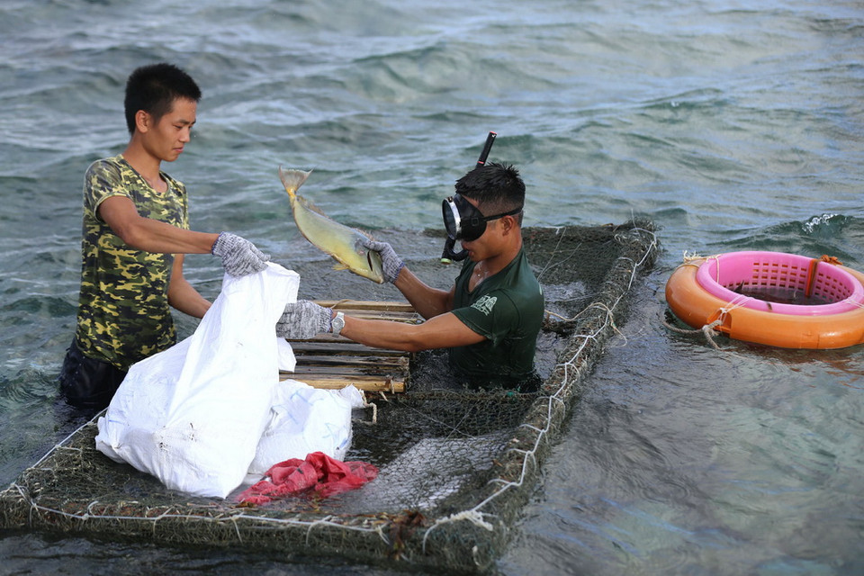 Đánh bắt hải sản để cải thiện bữa ăn của chiến sĩ đảo Thuyền Chài B. (Ảnh: Danh Lam/TTXVN)