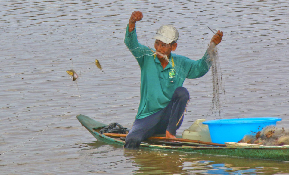 Ông Nguyễn Văn Ba, xã Vị Trung, huyện Vị Thủy cho biết giăng 6 tay lưới bắt được trung bình 7kg đến 8kg các loại thủy sản/ngày, cho thu nhập 100.000 đồng/ngày. (Ảnh: Duy Khương/TTXVN)