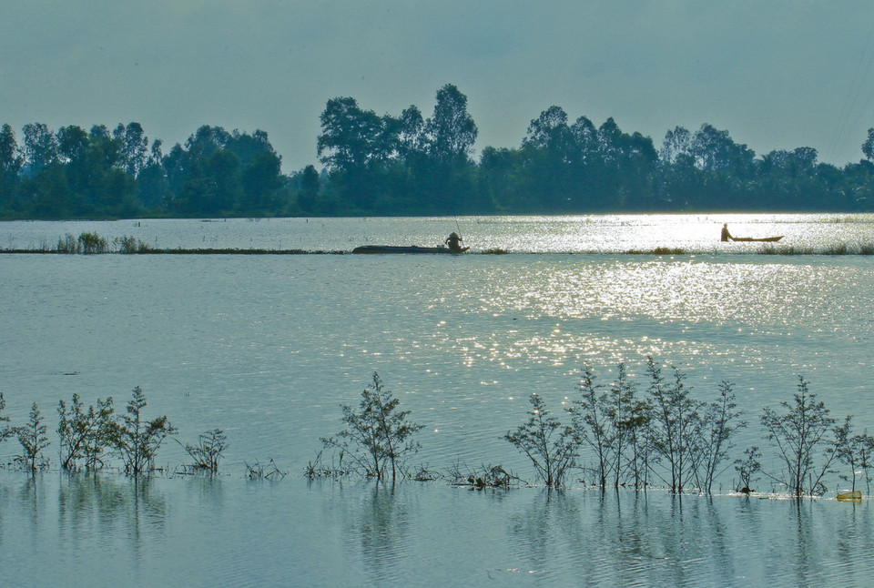 Cánh đồng mùa ngập lũ ở Hậu Giang. (Ảnh: Duy Khương/TTXVN)