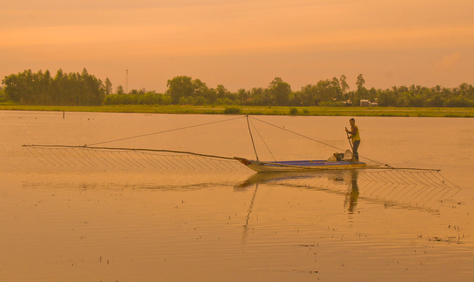 Đẩy côn bắt cá trên những cánh đồng mùa lũ ở Hậu Giang. (Ảnh: Duy Khương/ TTXVN)