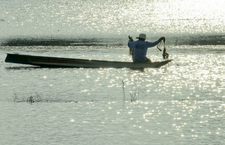 Giăng lưới bắt cá tự nhiên trên cánh đồng ngập lũ ở Hậu Giang. (Ảnh: Duy Khương/TTXVN)