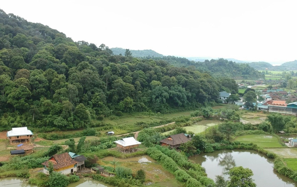 Đại ngàn Mường Phăng, nơi Sở Chỉ huy đóng chân. (Ảnh: Xuân Tiến/TTXVN)