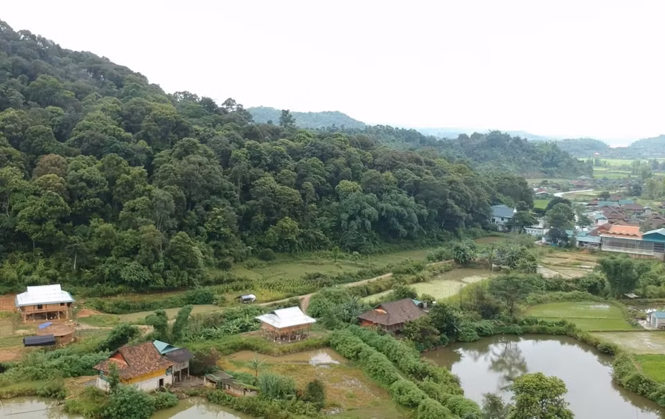 Đại ngàn Mường Phăng, nơi Sở Chỉ huy đóng chân. (Ảnh: Xuân Tiến/TTXVN)
