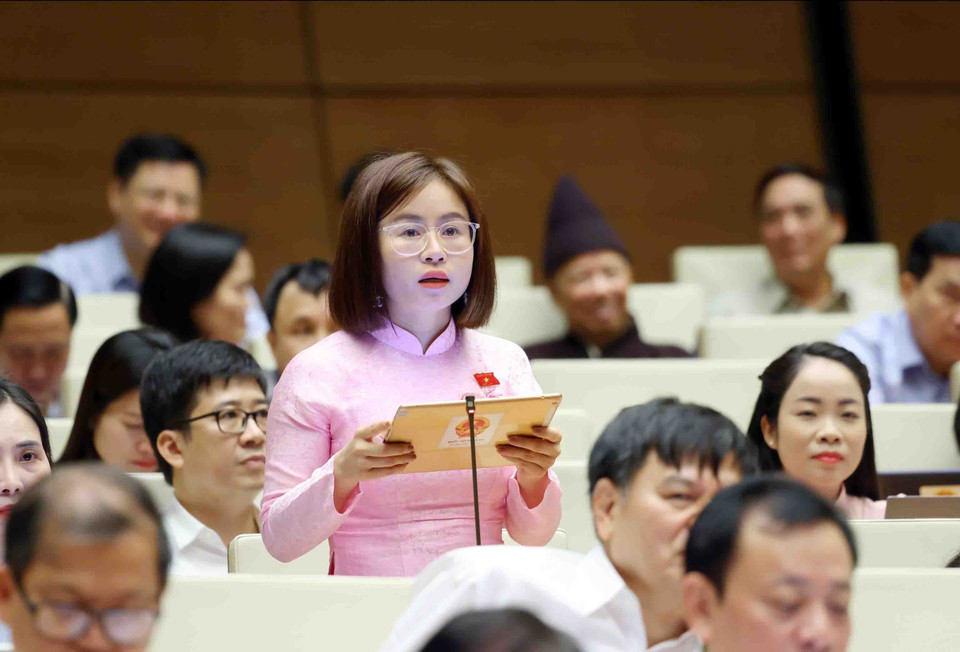 Đại biểu Quốc hội tỉnh Tuyên Quang Nguyễn Việt Hà phát biểu. (Ảnh: Phạm Kiên/TTXVN)