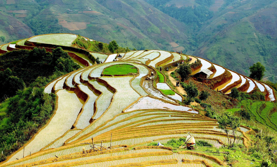 Ruộng bậc thang tại xã Xím Vàng, huyện Bắc Yên. (Ảnh: Quang Quyết/TTXVN)