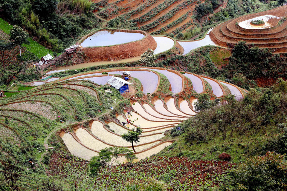 Ruộng bậc thang tại xã Xím Vàng, huyện Bắc Yên. (Ảnh: Quang Quyết/TTXVN)