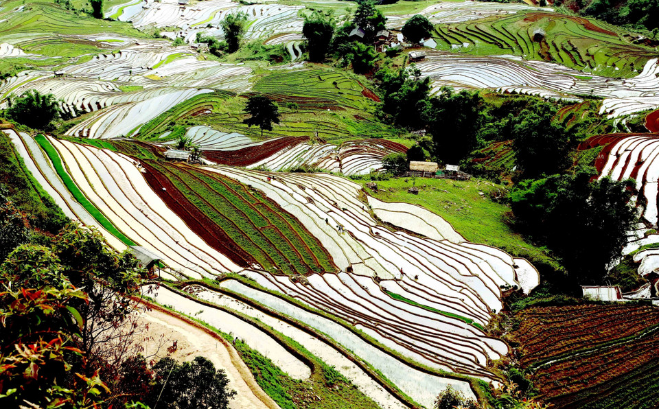 Những triền ruộng bậc thang đầy ắp nước từ những khe lạch nhỏ trên núi cao đổ về, lung linh như những tấm gương phản chiếu, nối dài tới tận chân trời. (Ảnh: Quang Quyết/TTXVN)