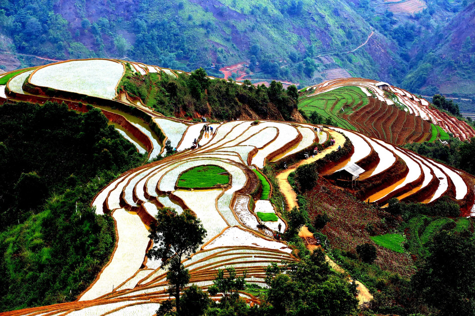 Ruộng bậc thang tại xã Xím Vàng, huyện Bắc Yên. (Ảnh: Quang Quyết/TTXVN)