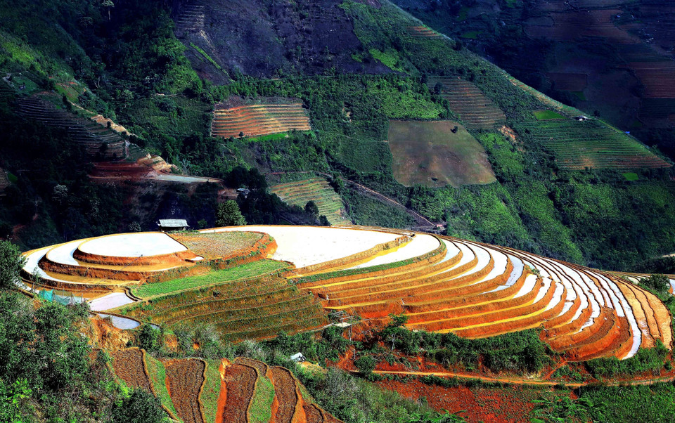 Ruộng bậc thang tại xã Xím Vàng, huyện Bắc Yên. (Ảnh: Quang Quyết/TTXVN)