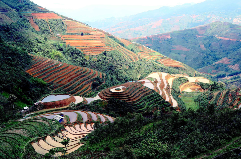 Ruộng bậc thang tại xã Xím Vàng, huyện Bắc Yên. (Ảnh: Quang Quyết/TTXVN)
