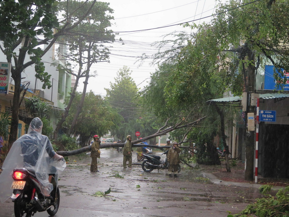 Cây xanh trên nhiều tuyến đường tại thành phố Quy Nhơn bị ngã đổ, lực lượng chức năng đang nỗ lực xử lý. (Ảnh: Phạm Kha/TTXVN)