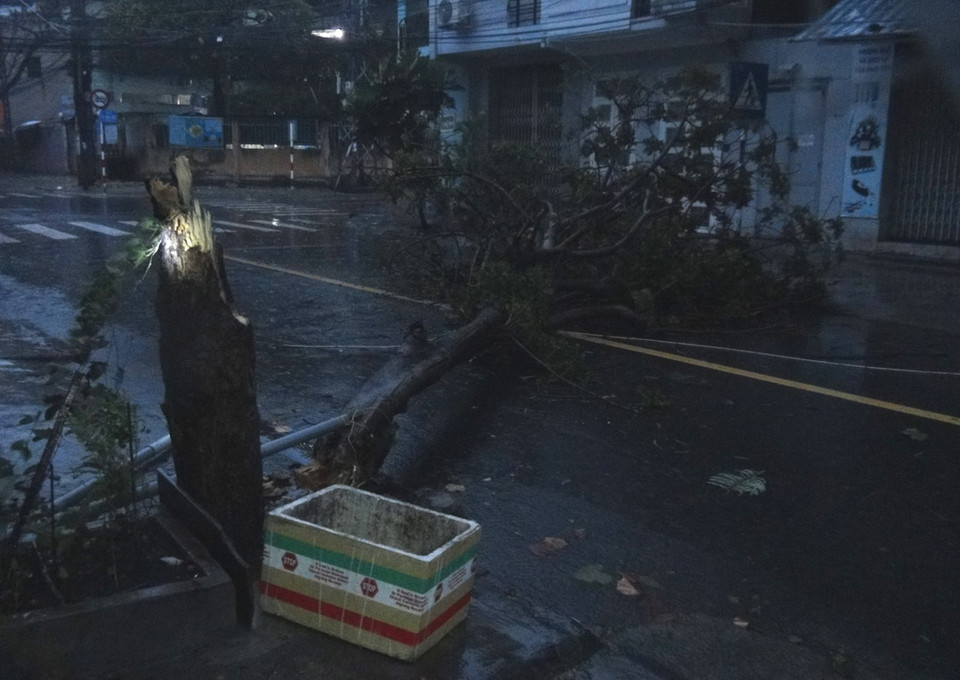 Gió bão giật mạnh khiến cây xanh ở thành phố Nha Trang đổ ngã. (Ảnh: Nguyên Lý/TTXVN)