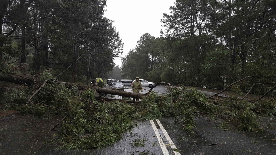 Cây xanh bị đổ trên đường tại Lâm Đồng. (Ảnh: Anh Tuấn/TTXVN)