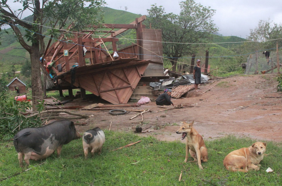 Một ngôi nhà tại huyện Krông Bông (Đắk Lắk) bị tốc mái, đổ sập. (Ảnh: Phạm Cường.TTXVN)