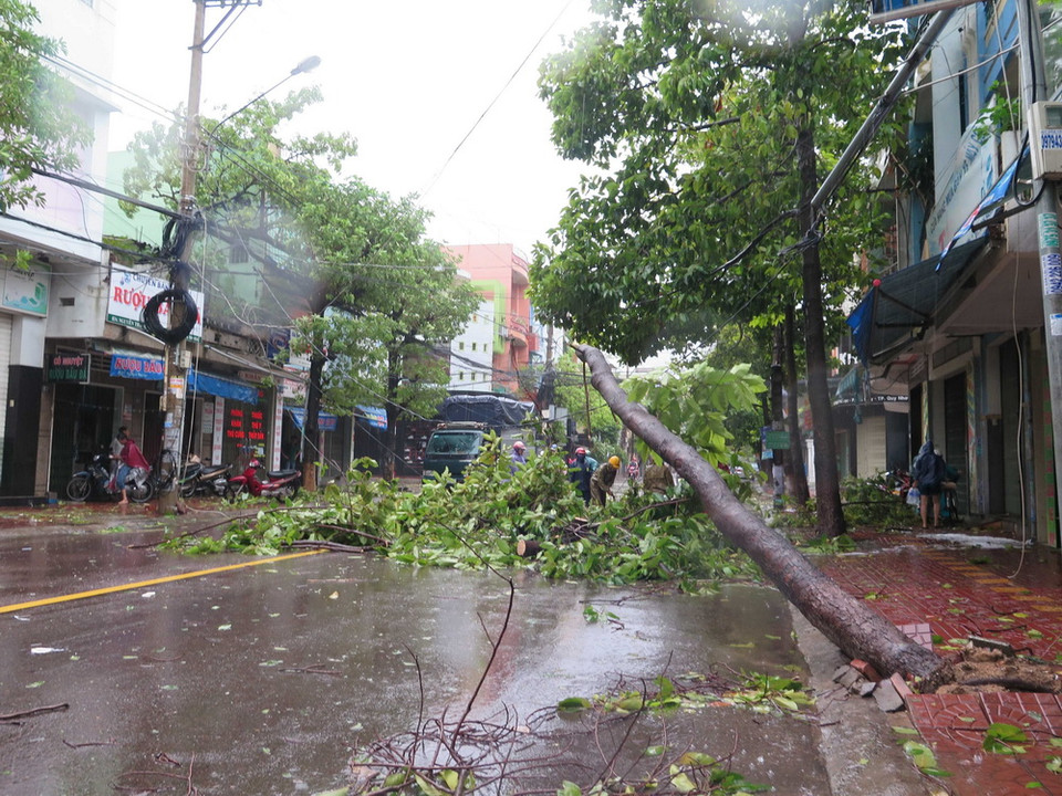 Hàng loạt cây xanh, pano bị đổ trên các tuyến đường tại thành phố Quy Nhơn. (Ảnh: Phạm Kha/TTXVN)