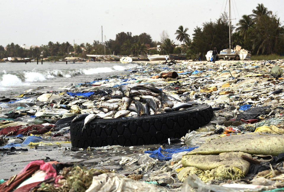 Cá chết trôi dạt vào bờ biển tràn ngập rác thải nhựa tại Hann, Dakar, Senegal ngày 2/6/2018. (Ảnh: AFP/ TTXVN phát)