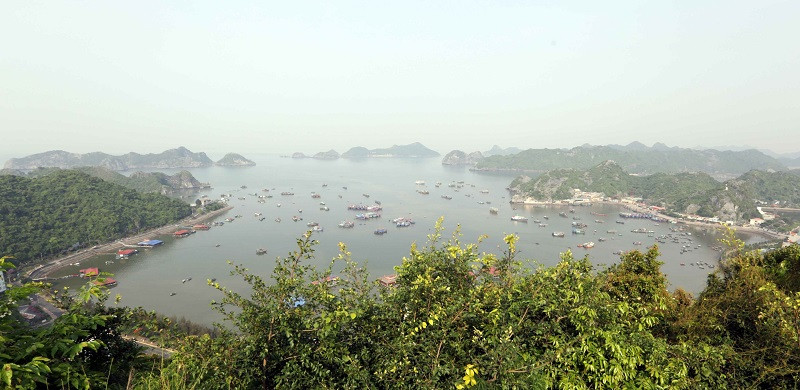 Thị trấn Cát Bà nhìn từ trên cao. (Ảnh: Trần Việt/TTXVN)