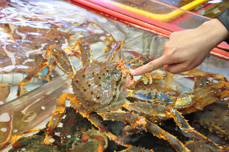 (Ảnh: Thanh Thảo/Vietnam+)