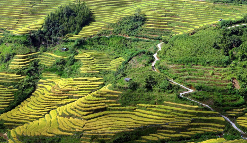 Những thửa ruộng bậc thang nhìn như tác phẩm nghệ thuật tuyệt tác với đường nét uốn lượn mềm mại ôm sát chân núi tại xã biên giới Tung Qua Lìn. (Ảnh: Quý Trung/TTXVN)