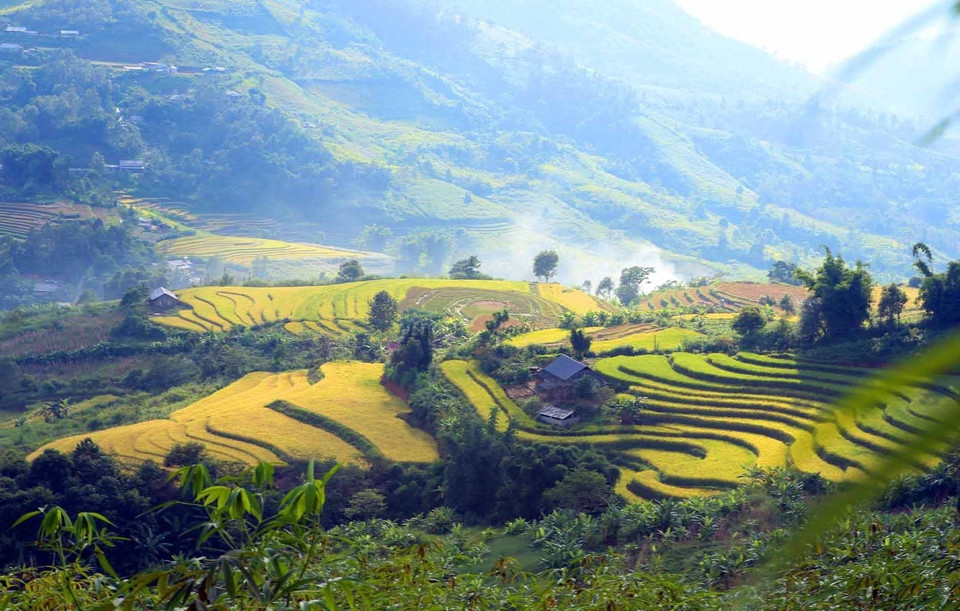 Nắng chiều càng làm nổi bật lên những thửa ruộng bậc thang tạo nên như một bức tranh phong cảnh nao lòng tại vùng biên viễn của Tổ quốc. (Ảnh: Quý Trung/TTXVN) 