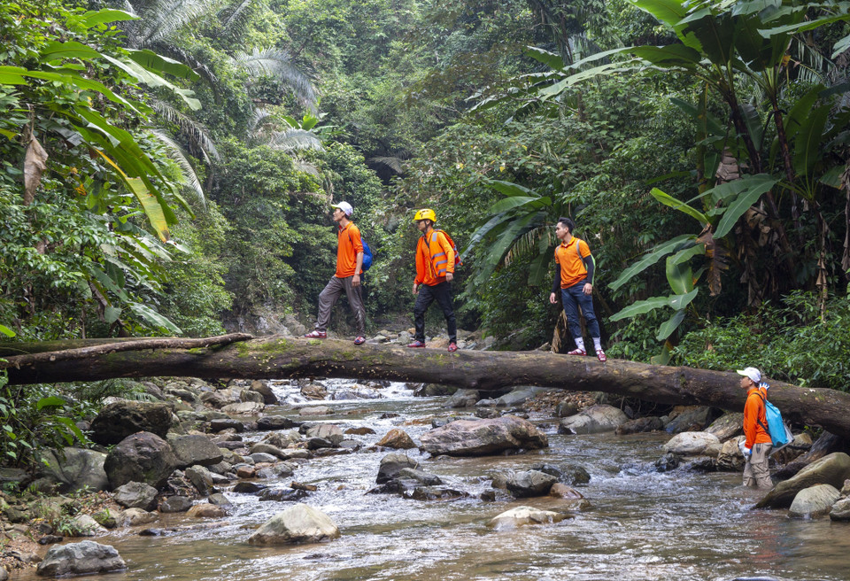 Sản phẩm du lịch “Khám phá Khe Nước Trong-Suối Tiên” được đưa vào khai thác. (Ảnh: TTXVN phát)