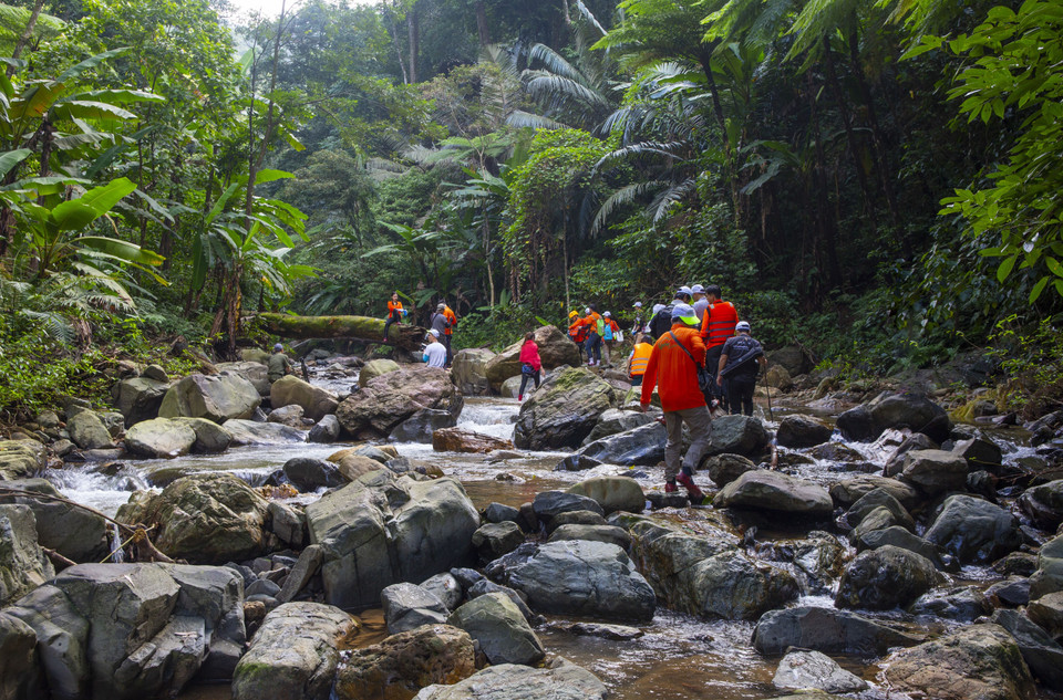 Du khách khám phá Khe Nước Trong-Suối Tiên. (Ảnh: TTXVN phát)