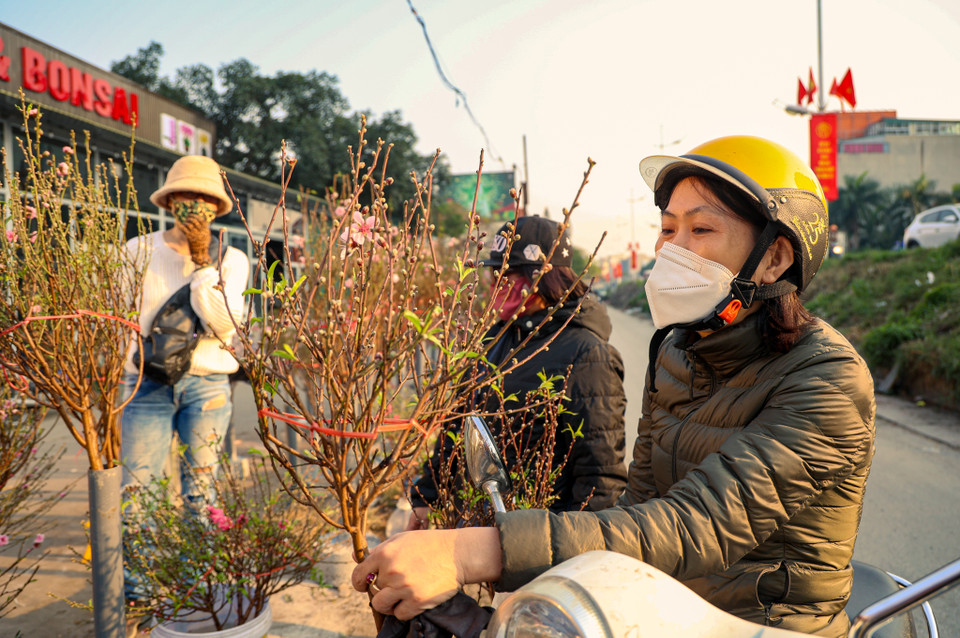 ''Thời điểm này đa số người dân thường mua cành đào nhỏ để chơi sớm chứ lượng khách mua cành thế chưa nhiều,'' chị Hạnh, một tiểu thương cho biết. (Ảnh: Minh Hiếu/Vietnam+)
