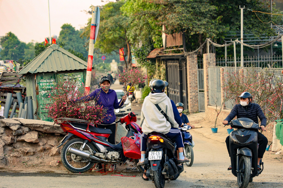 Năm nay Tết Nguyên đán đến sớm nên nhiều tiểu thương hối hả tiêu thụ hoa. (Ảnh: Minh Hiếu/Vietnam+)