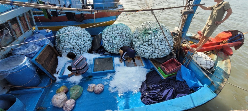 Ngư dân hành nghề câu mực của xã Bình Châu, huyện Xuyên Mộc chuẩn bị nhu yếu phẩm, đá, ngư lưới cụ để chuẩn bị xuất bến. (Ảnh: Hoàng Nhị/TTXVN)