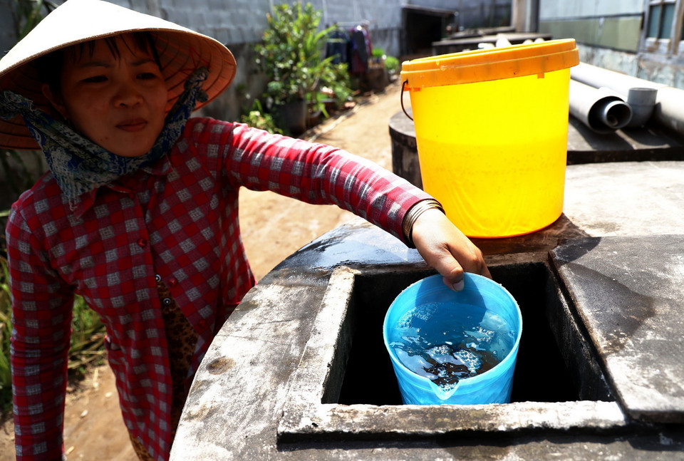 Người dân ở Bến Tre nói riêng và Đồng bằng sông Cửu Long nhiều năm nay đã thích nghi, chủ động ứng phó, sống chung với hạn, mặn. (Ảnh: Hồng Đạt/TTXVN)