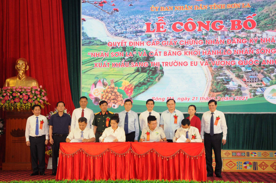 Các hợp tác xã trên địa bàn huyện Sông Mã ký kết biên bản ghi nhớ về sản xuất, tiêu thụ nhãn. (Ảnh: Quang Quyết/TTXVN)