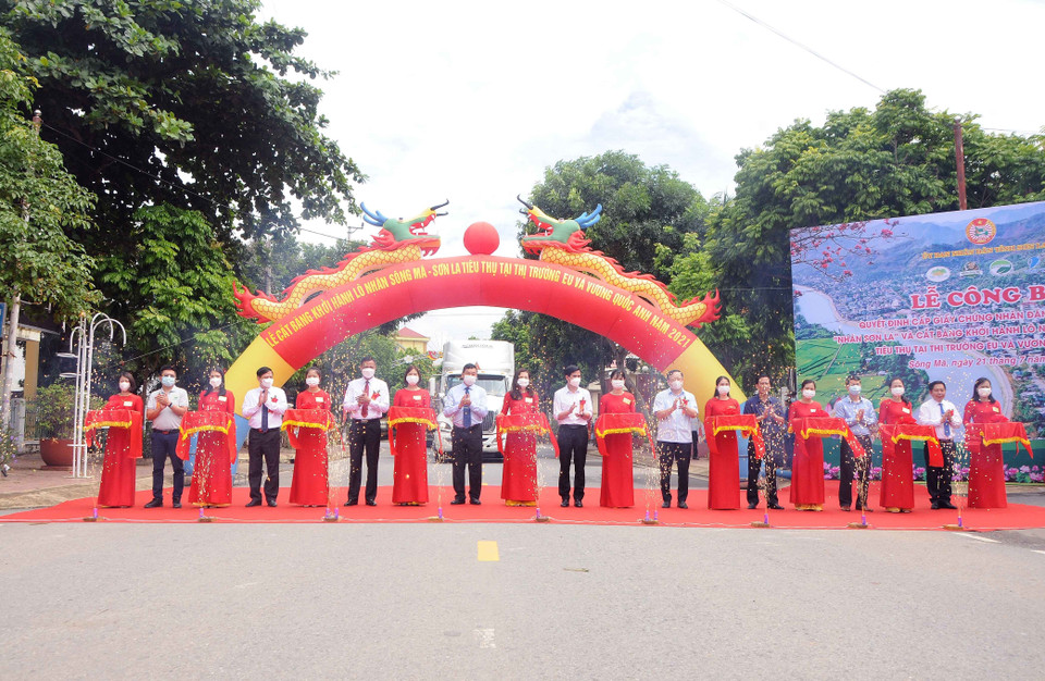 Cắt băng khởi hành lô nhãn Sông Mã-Sơn La xuất khẩu sang thị trường EU và Vương quốc Anh năm 2021. (Ảnh: Quang Quyết/TTXVN)