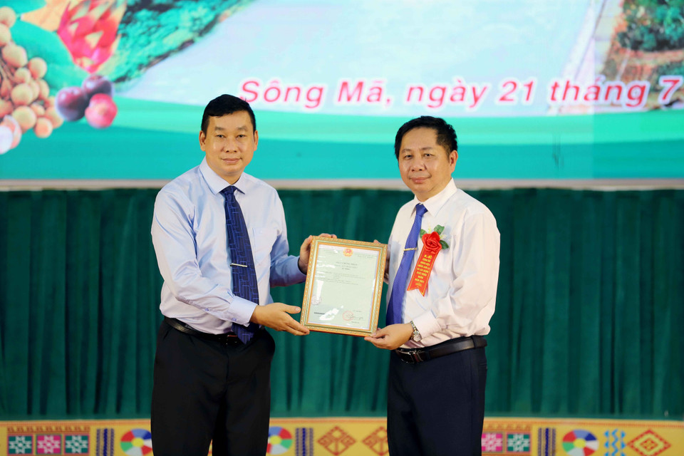 Lãnh đạo Cục Sở hữu trí tuệ, Bộ Khoa học và Công nghệ (trái) trao Quyết định cấp Giấy chứng nhận đăng ký nhãn hiệu “Nhãn Sơn La” cho lãnh đạo Ủy ban nhân dân huyện Sông Mã. (Ảnh: Quang Quyết/TTXVN)