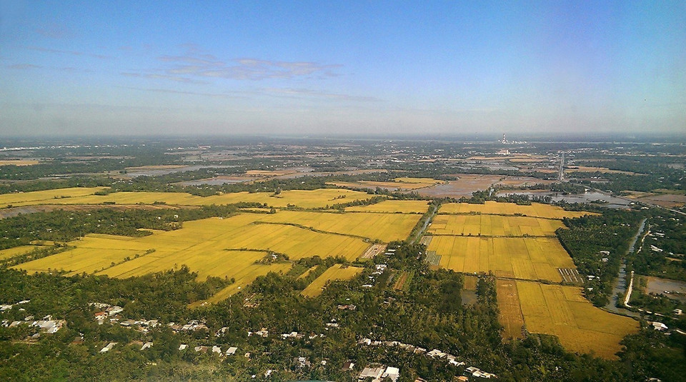 Từ một vùng đất phèn, mặn, sản xuất nông nghiệp kém phát triển, từ năm 1988 đến nay, nhờ chính sách đầu tư khai thác, phát triển của Nhà nước, vùng Tứ giác Long Xuyên đã có sự chuyển biến mạnh mẽ về kinh tế, trở thành vùng trọng yếu về sản xuất nông nghiệp của đồng bằng sông Cửu Long và cả nước. (Ảnh: Trọng Đạt/TTXVN)