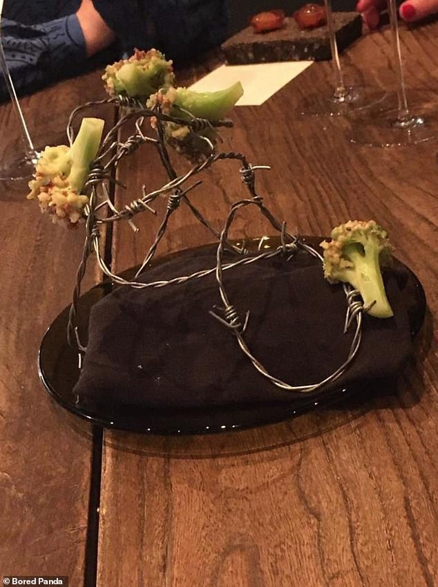 Những miếng súp lơ bày trên một mô hình dây thép gai. (Nguồn: Daily Mail)