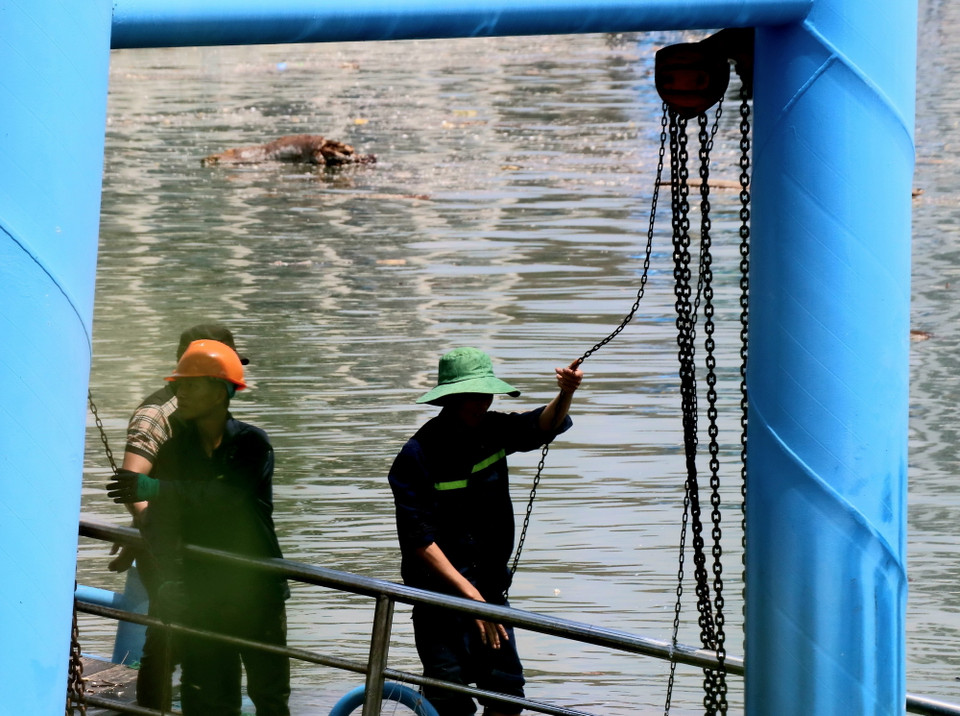 Công nhân Cảng tàu khách quốc tế Hạ Long sửa chữa bến tàu. (Ảnh: Văn Đức/TTXVN)