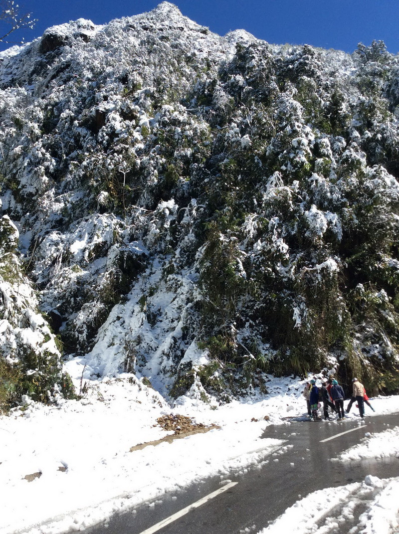 Băng tuyết phủ trắng đèo Hoàng Liên Sơn. (Ảnh: Công Hải – Quang Duy/Vietnam+)