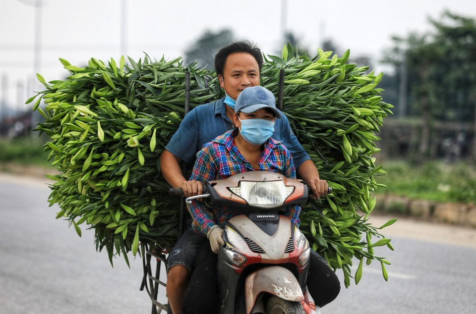 Những bó hoa được người dân mang xuống phố bán. (Ảnh: Thành Đạt/TTXVN)