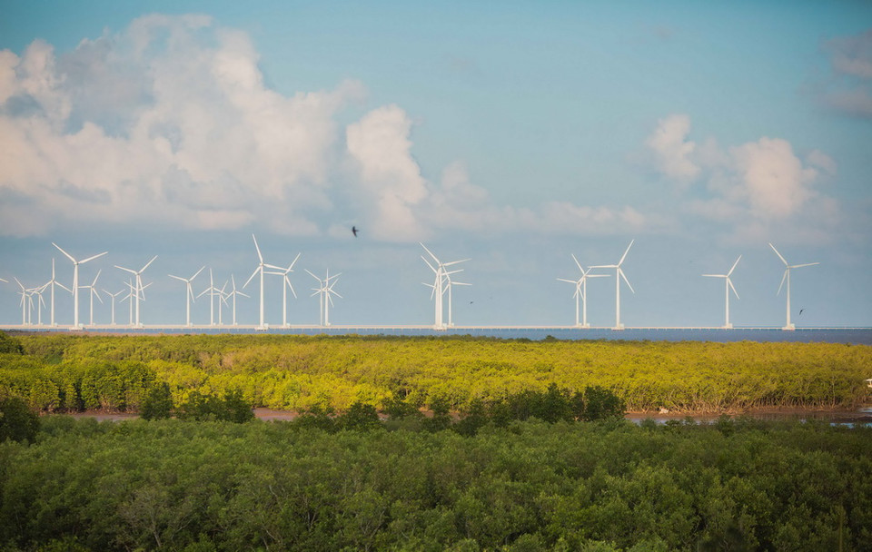 Khu du lịch điện gió Bạc Liêu là điểm du lịch mới của du khách tham quan trong vài năm trở lại đây.(Ảnh: Trọng Đạt/TTXVN)