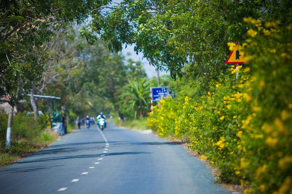  Tới Bạc Liêu, khi đi tham quan chùa Xiêm Cán và khu du lịch điện gió, du khách sẽ được rong ruổi qua những cung đường sạch đẹp, thơ mộng với hoa vàng, tím ở hai bên đường.(Ảnh: Trọng Đạt/TTXVN)