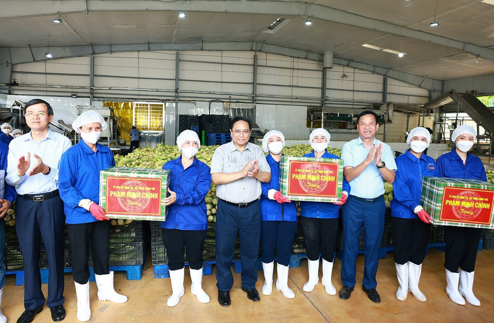 Thủ tướng Phạm Minh Chính tặng quà cho công nhân Công ty Cổ phần Thực phẩm xuất khẩu Đồng Giao. (Ảnh: Dương Giang/TTXVN)