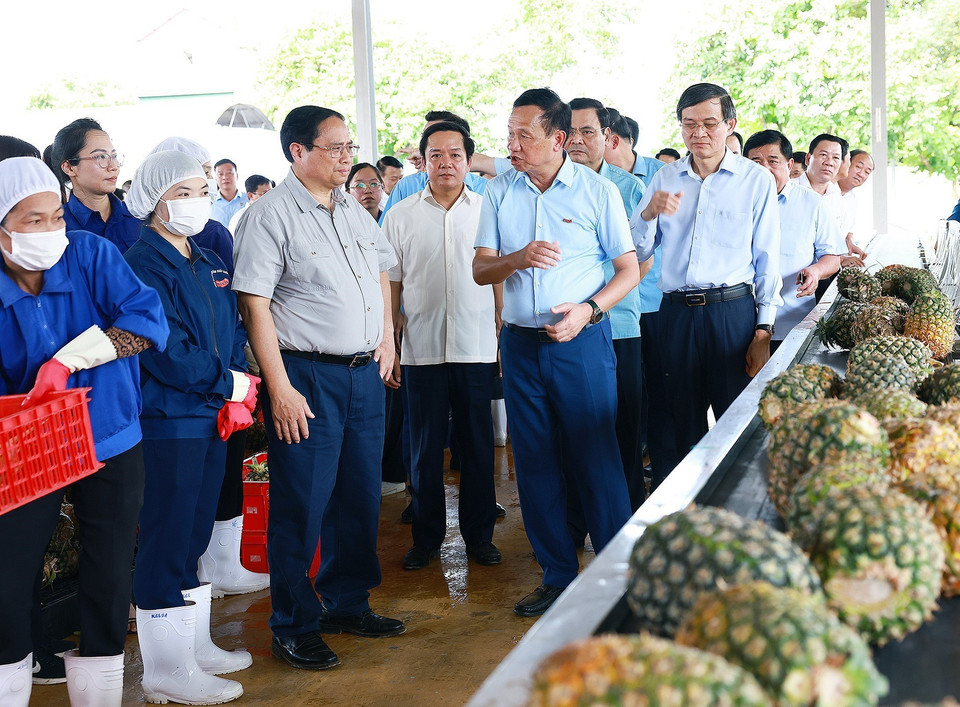 Thủ tướng Phạm Minh Chính thăm cơ sở chế biến nông sản của Công ty Cổ phần Thực phẩm xuất khẩu Đồng Giao. (Ảnh: Dương Giang/TTXVN)